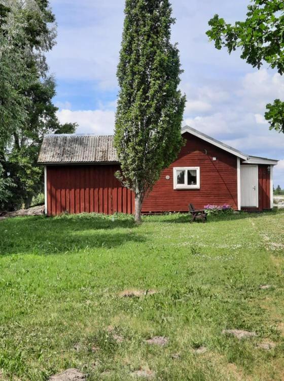 Sassi Talu Horsefarm Hotel Parnumaa Exterior photo